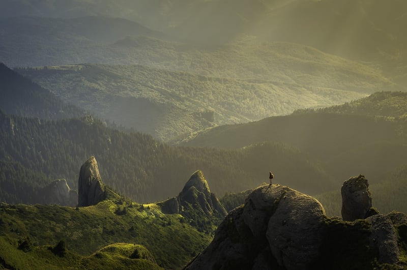 Journey towards self-development